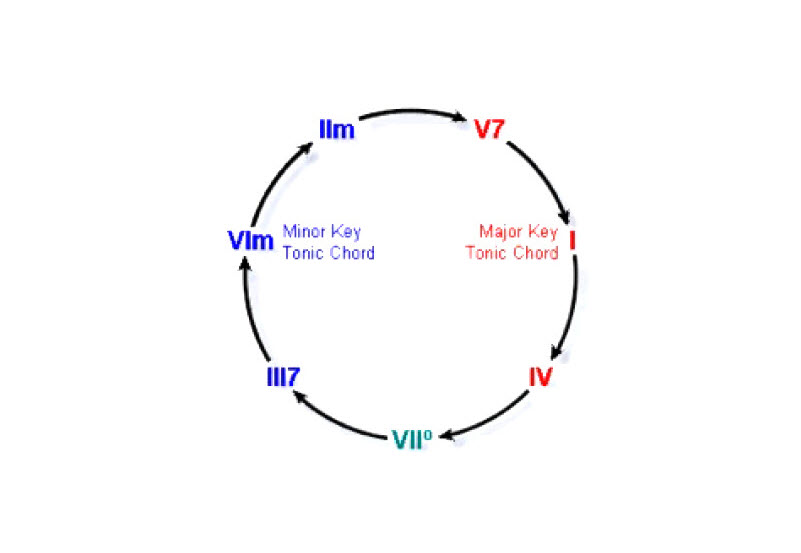 Visual representation of the circular harmonic scale
