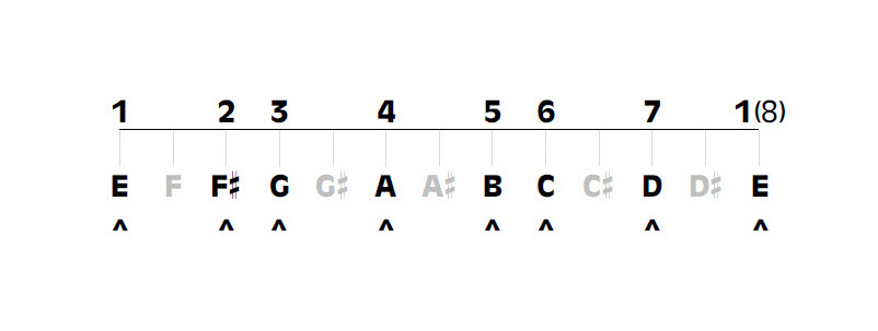 E minor musical scale showing the order of tones and semitones.