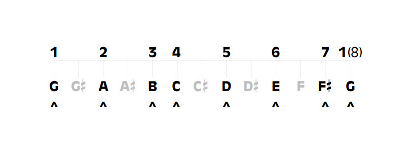 G major musical scale showing order of tones and semitones.